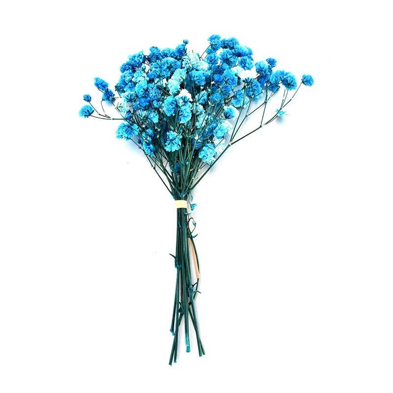 Natural Gypsophila Dried Flowers Mini Babysbreath Flower Preserve Floral  Decor Bouquet Wedding Party Home Backdrop Decor 12cm