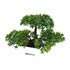New Festival Potted  Simulation Decorative Bonsai Home Office Pine Tree Gift Ornament Lifelike Accessory Artificial Bonsai Artificial Bonsai Tree Fake  Greenery for Home Office Desk Wall Book Shelf Decor Room Decor