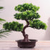 New Festival Potted  Simulation Decorative Bonsai Home Office Pine Tree Gift Ornament Lifelike Accessory Artificial Bonsai Artificial Bonsai Tree Fake  Greenery for Home Office Desk Wall Book Shelf Decor Room Decor