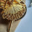 Creative Jewelry Pendant Key Ring Alloy Rhinestone Butterfly Fairy Key Ring Handbag Pendant Car Key Ring Female Jewelry Gift Butterfly Wing Fairy Keychain Rhinestone Dancing Ballet Car Keychain