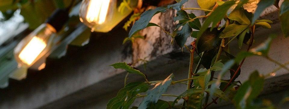 Retro Edison Bulb ST64 A19 T45 G80 G95 G125 Incandescent Light Bulb E27 220V 40W filament bulb lighting tubes Edison - STEVVEX Decor - 57, Antique Bulb, Bedroom Bulb, Best quality bulb, Best Selling bulb, Bubble Ball Bulb, Bulb for home decoration, Bulb for Table Lamp, Filament Bulb, filament lamp, glass bulb, Home light bulb, hot sale bulb, Incandescent Bulbs, incandescent lamp, lighting tubes, pendant lighting, Retro Edison Bulb, retro lamp, Top Quality Bulb, Vintage Edison Bulb - Stevvex.com