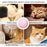 Smart Interactive Cat Toy Colorful LED Self Rotating Ball Bell and Feather Toys USB Rechargeable Cat Kitten Ball Toy Cat Exercise Ball with Feather Bell and Catnip - STEVVEX Pet - 126, animal toys, cat accessories, cat fun tools, cat playing tools, cat playing toy, cat tools, cat toy, cat toys, Cats Toys Fun, funny playing cats toys, kiten playing gadgets, kiten playing toys, kitten accessories, kitten soft toys, kitten toys, new cat toys, playing cat toy, playing toy, playing toys for cats - Stevvex.com