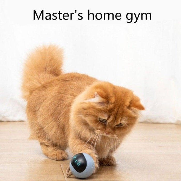 Smart Pet Toy USB Rechargeable Sports Ball Funny Chaser Roller Toy The Best Entertainment Exercise Gift For Smart Cat Toy Electric Jumping Ball Self Rotating Toys Rolling Jumping Ball  For Cats