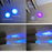 Stainless Steel Mini Pocket UV Black Light Flashlight Led Lamp Portable Flashlight Ultraviolet Pen Lights For Leak Pet Urine Bed Bug  Dry Stain & Dye Detector Marker Checker Detection