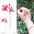 Waterproof Red Flowers Tattoo Multi-Colored Temporary Sticker Flower Lotus Tattoo Elegant Big Design For Womens - STEVVEX Beauty - 103, 3D Tattoo, Arm Tattoo, Beauty, Big Flowers Tattoo, Big Tattoo, Body Tattoo, Colorful Tattoo, Fashion Tattoo, Flower Tattoo, Girls Tattoo, Large Tattoo, Leg Tattoo, Luxury Tattoo, Red Flower Tattoo, Stylish Tattoo, Tattoo, Waterproof Tattoo, Women Tattoo, Womens Tattoo - Stevvex.com
